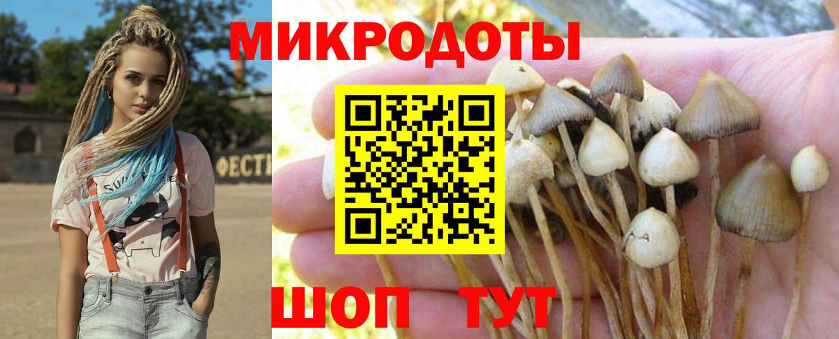 Галлюциногенные грибы мухоморы Ипатово